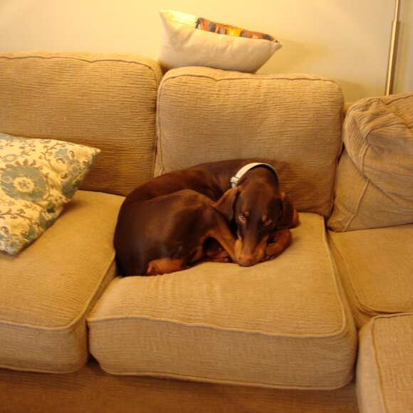 Sony Cyber-shot Blue Digital Camera Bundle - Picture 16 of 16